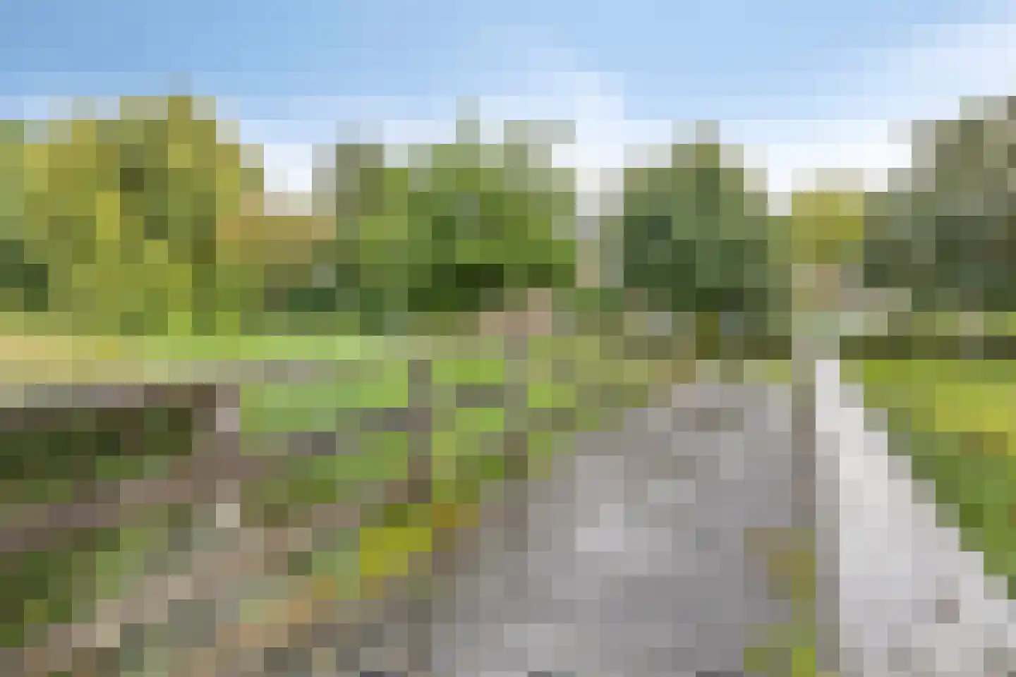 Veldbies 33 Terheijden thumbnail 30