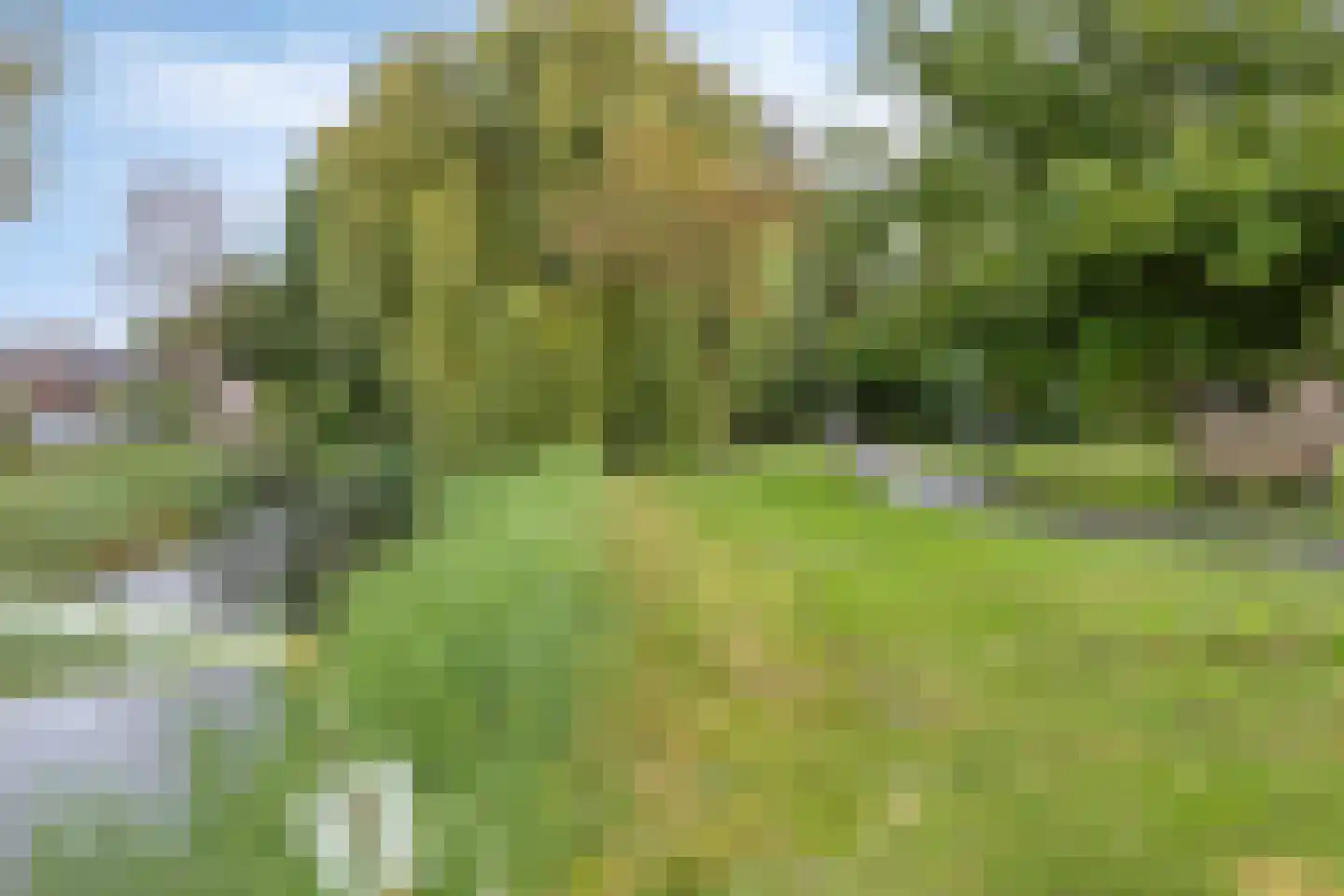 Veldbies 33 Terheijden thumbnail 31