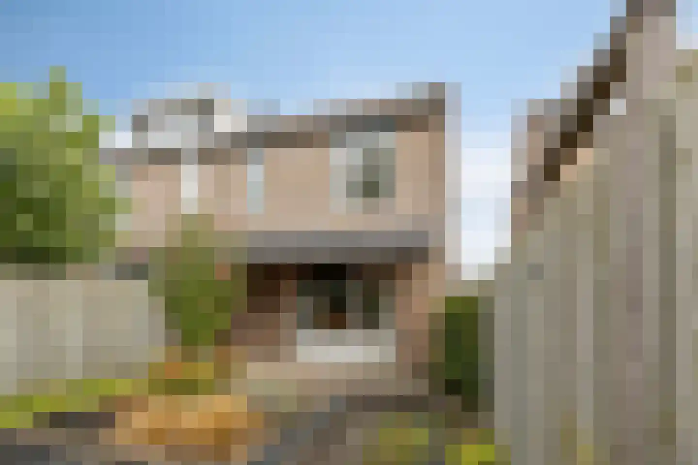 Veldbies 33 Terheijden thumbnail 4