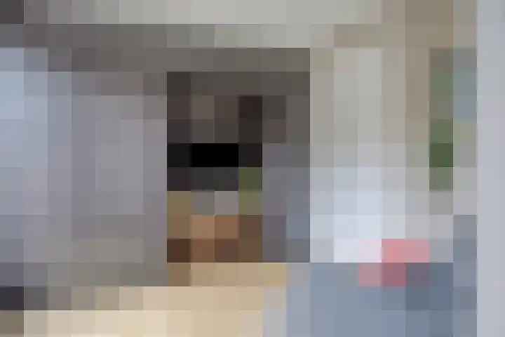 Veldbies 33 Vlijmen thumbnail 14