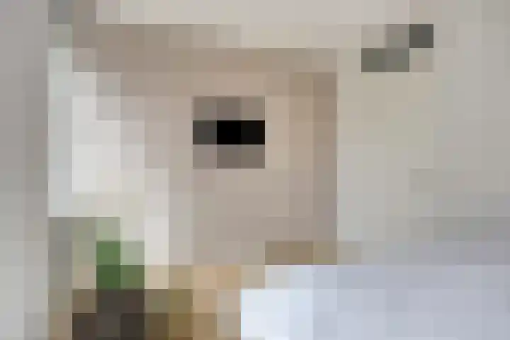 Veldbies 33 Vlijmen thumbnail 21