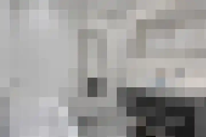Veldbies 33 Vlijmen thumbnail 22