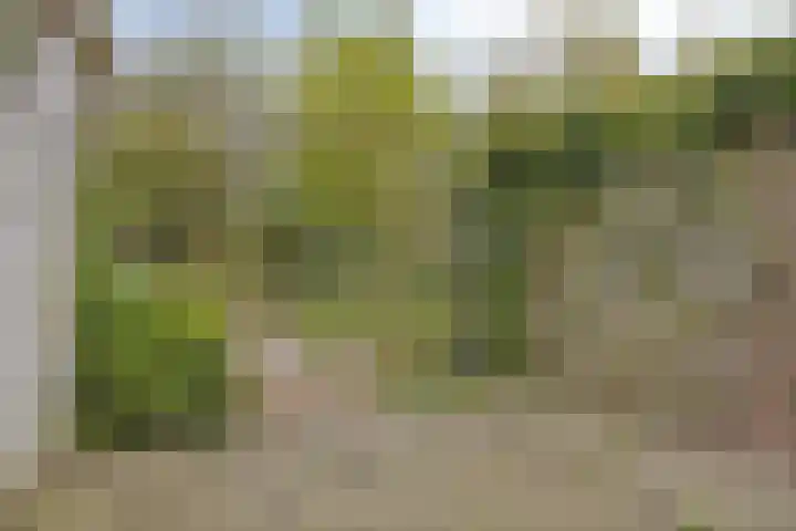 Veldbies 33 Vlijmen thumbnail 27