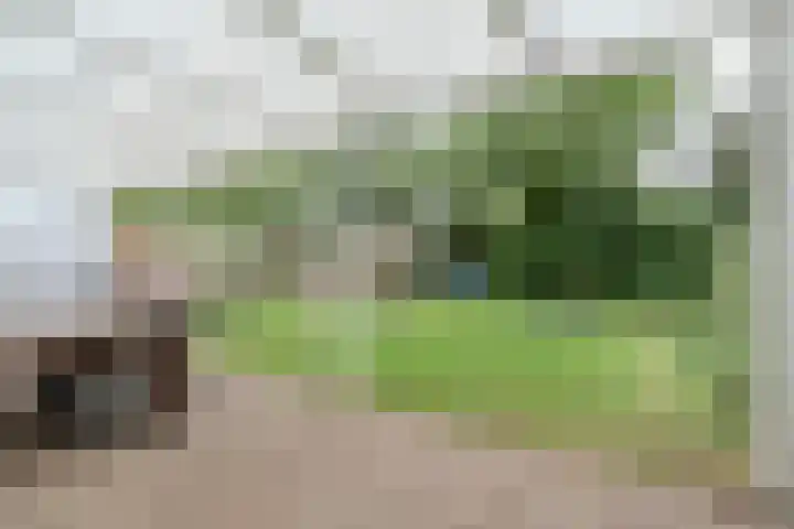 Veldbies 33 Vlijmen thumbnail 4