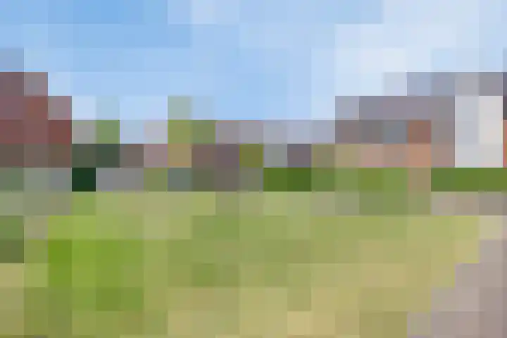 Veldbies 33 Vlijmen thumbnail 46