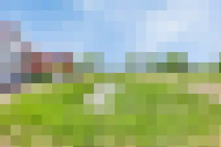 Veldbies 33 Vlijmen thumbnail 48