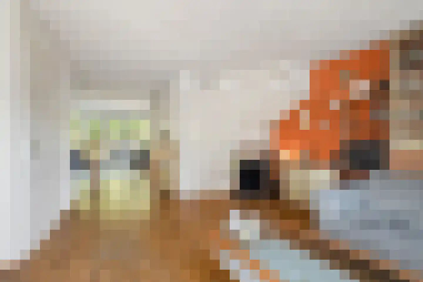Veldbies 41 Terheijden thumbnail 13