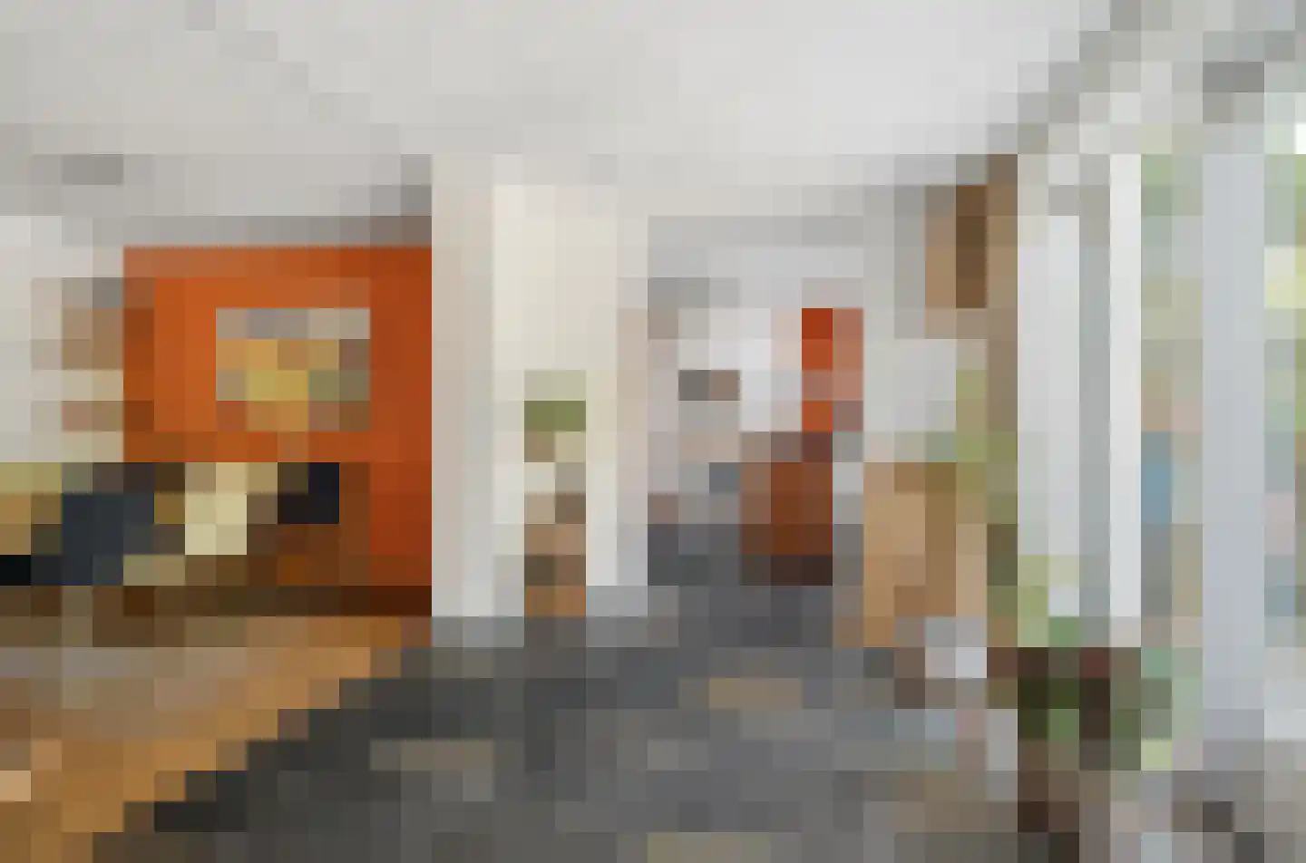 Veldbies 41 Terheijden thumbnail 18