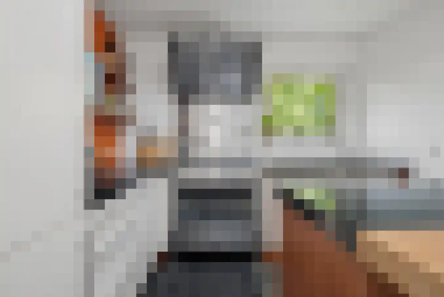 Veldbies 41 Terheijden thumbnail 20