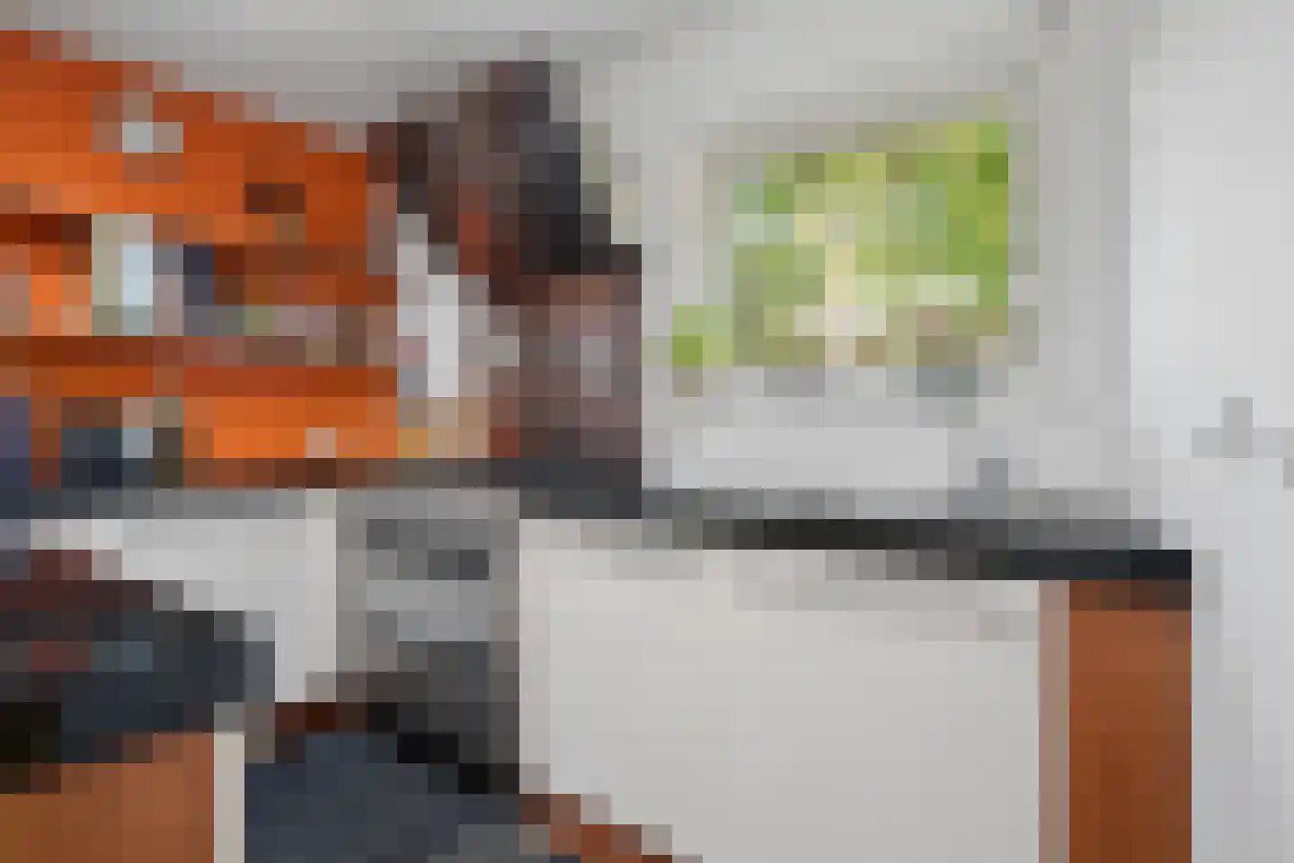 Veldbies 41 Terheijden thumbnail 21