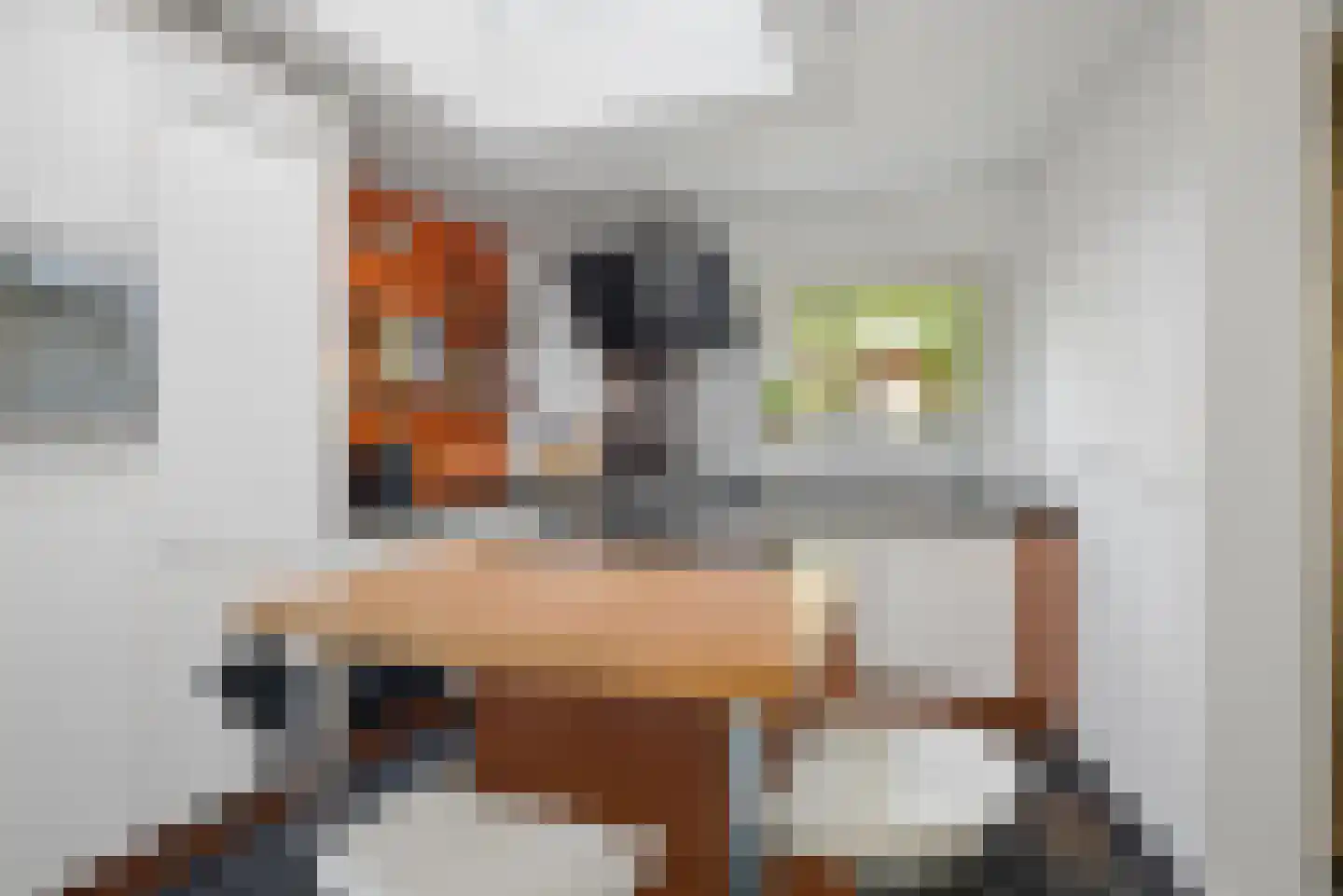 Veldbies 41 Terheijden thumbnail 22