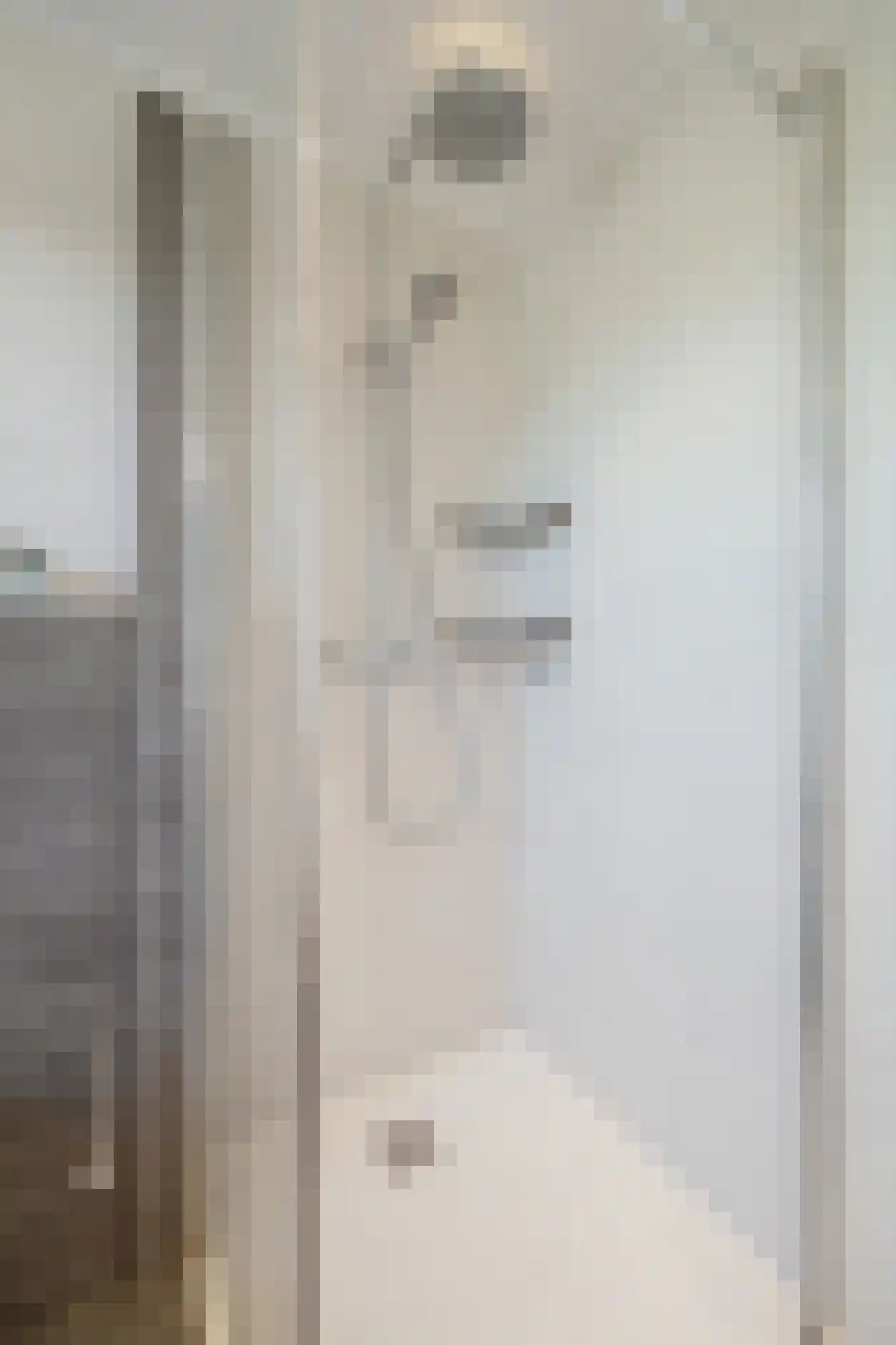 Veldbies 41 Terheijden thumbnail 26