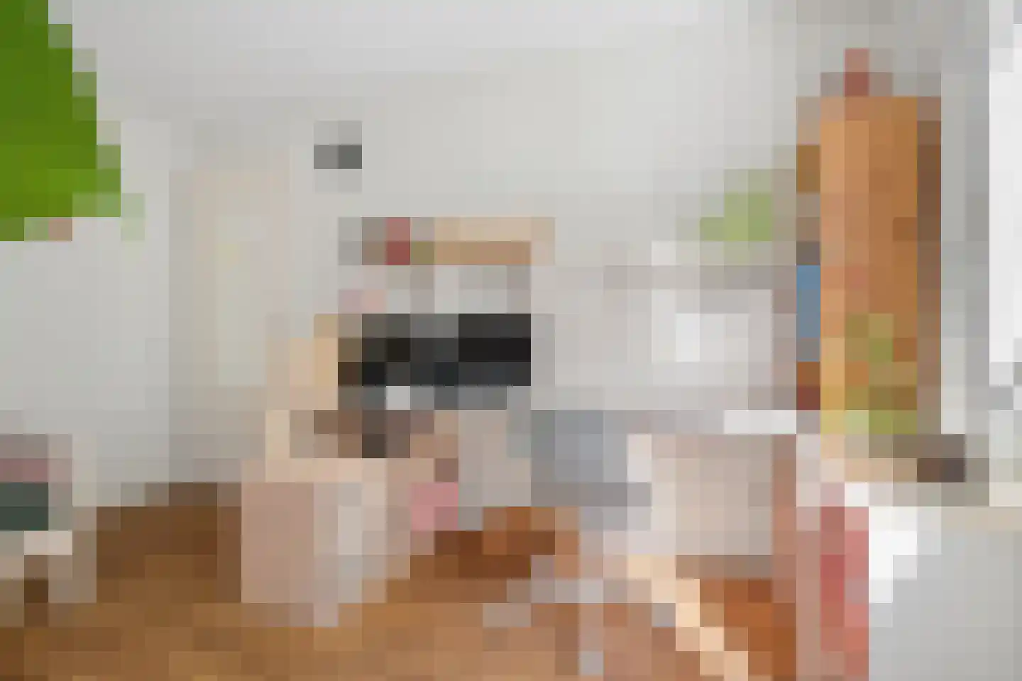 Veldbies 41 Terheijden thumbnail 32