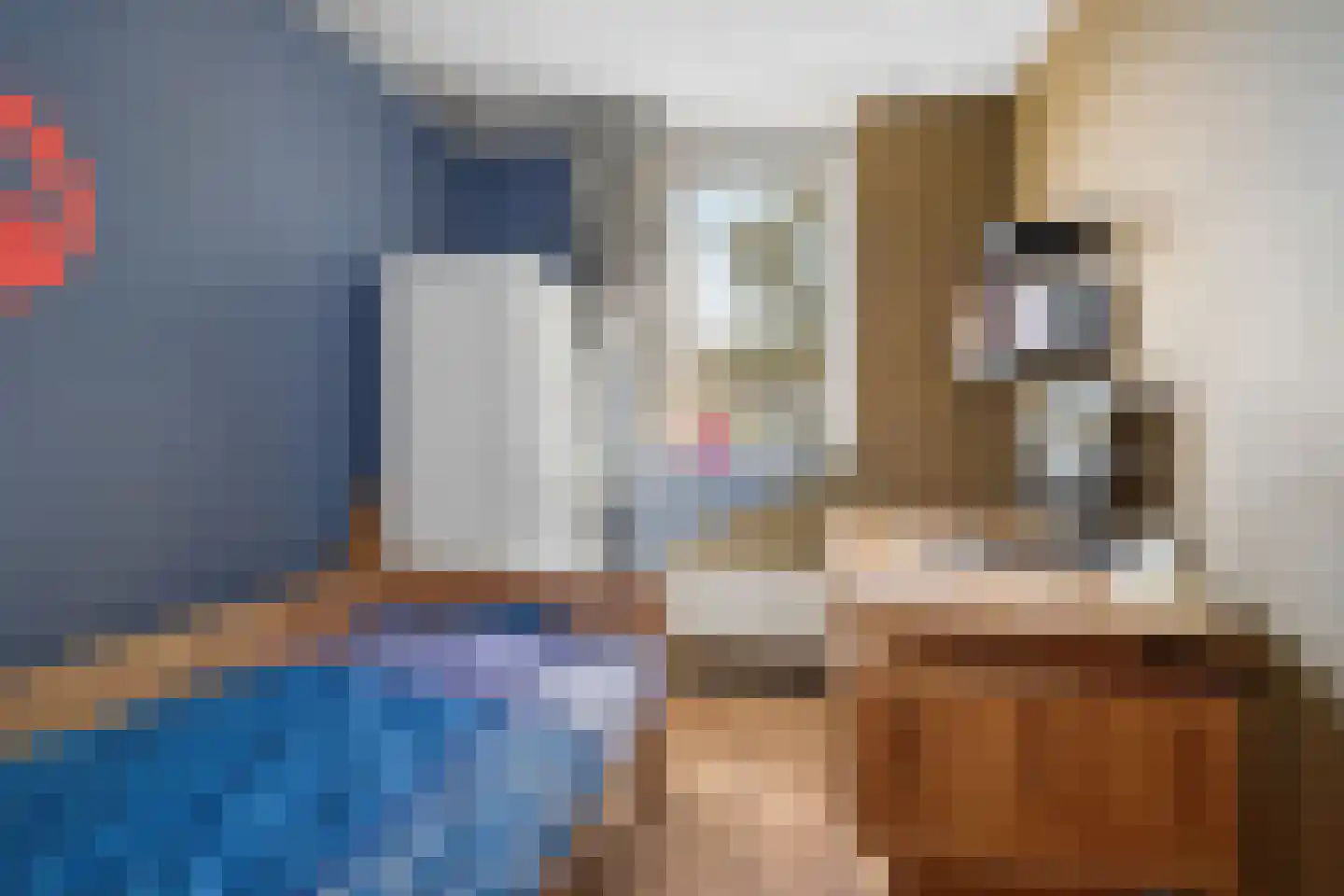 Veldbies 41 Terheijden thumbnail 33
