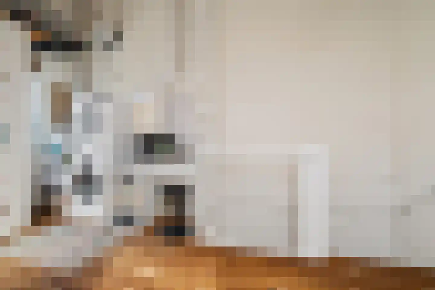 Veldbies 41 Terheijden thumbnail 35
