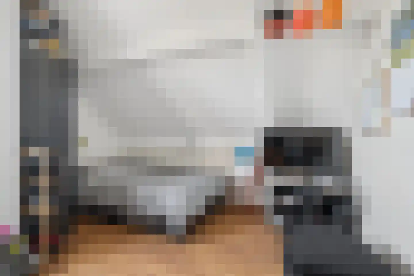 Veldbies 41 Terheijden thumbnail 40