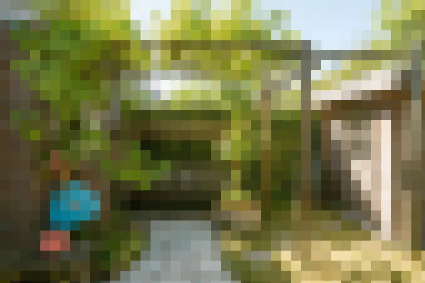 Veldbies 41 Terheijden thumbnail 46