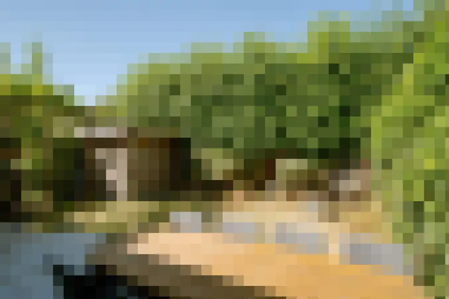 Veldbies 41 Terheijden thumbnail 47