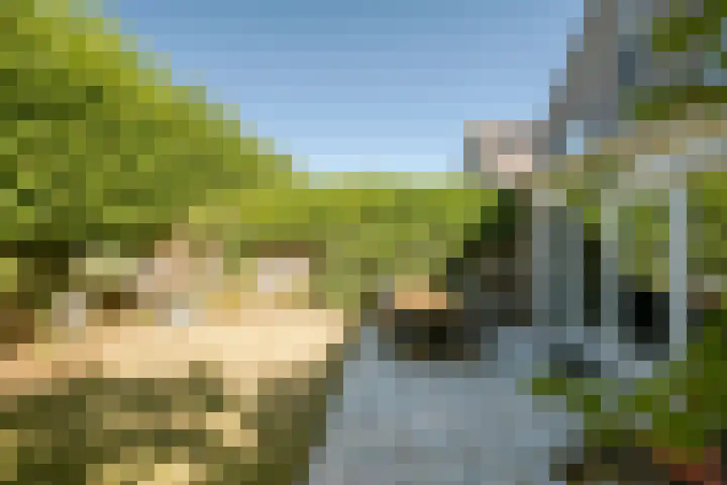 Veldbies 41 Terheijden thumbnail 48