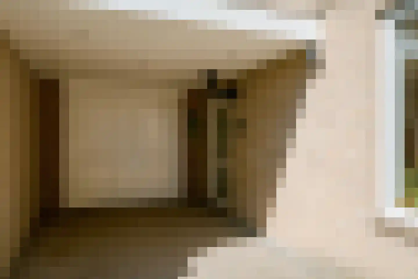 Veldbies 41 Terheijden thumbnail 51