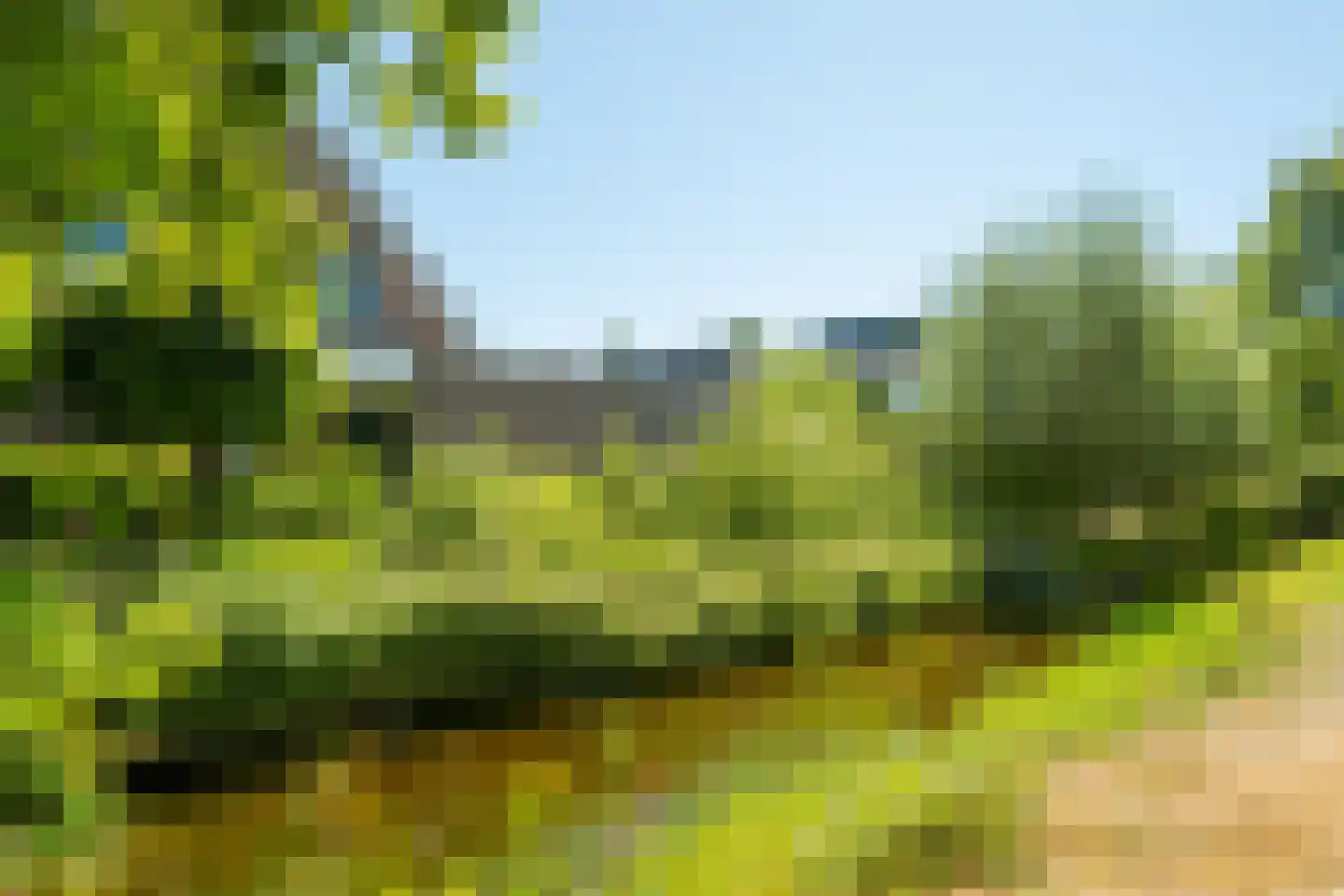 Veldbies 41 Terheijden thumbnail 53