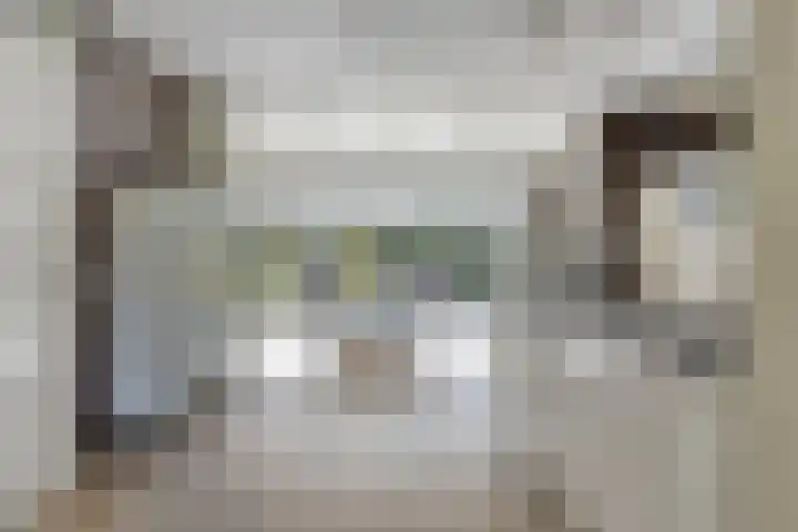 Veldbies 43 Terheijden thumbnail 11