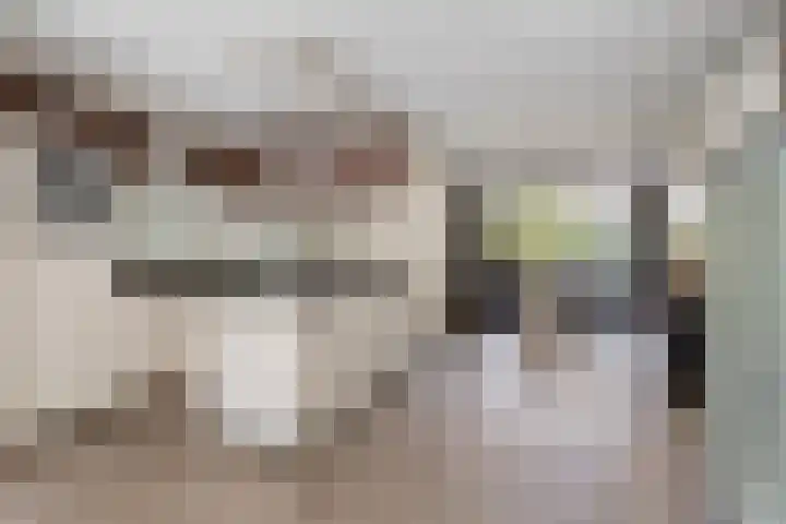 Veldbies 43 Terheijden thumbnail 12