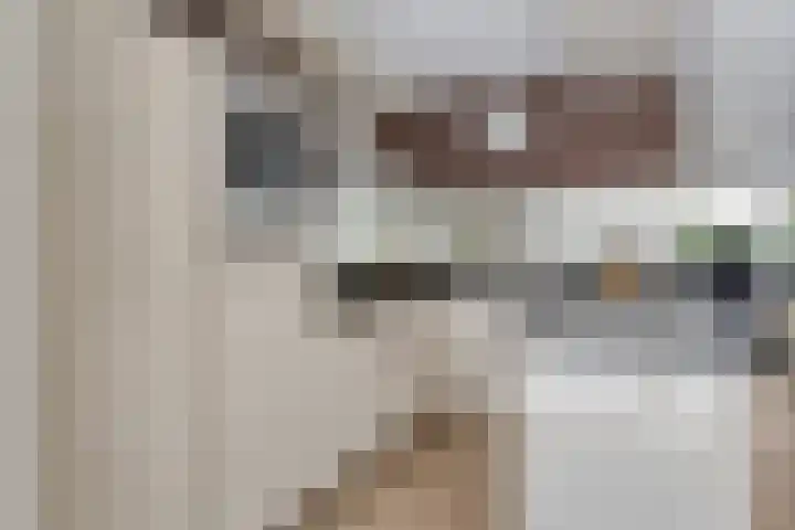 Veldbies 43 Terheijden thumbnail 13