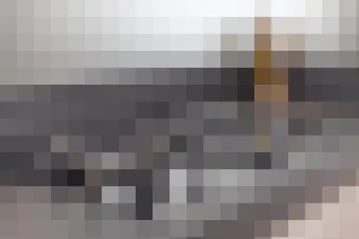 Veldbies 43 Terheijden thumbnail 14