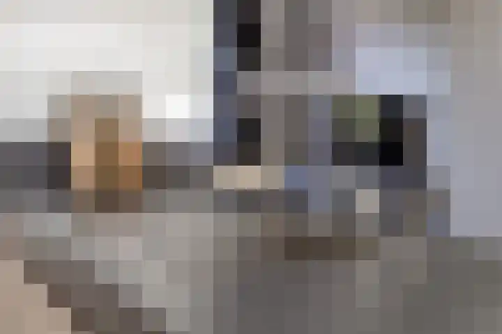 Veldbies 43 Terheijden thumbnail 15