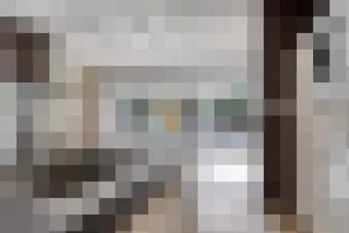 Veldbies 43 Terheijden thumbnail 16