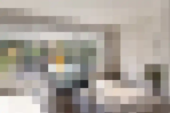 Veldbies 43 Terheijden thumbnail 18