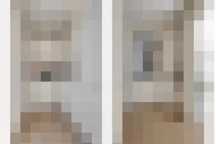 Veldbies 43 Terheijden thumbnail 20
