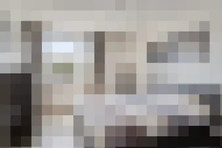 Veldbies 43 Terheijden thumbnail 25
