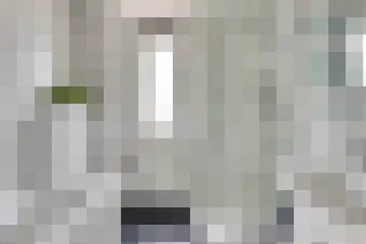 Veldbies 43 Terheijden thumbnail 27