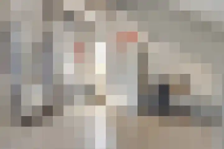 Veldbies 43 Terheijden thumbnail 35