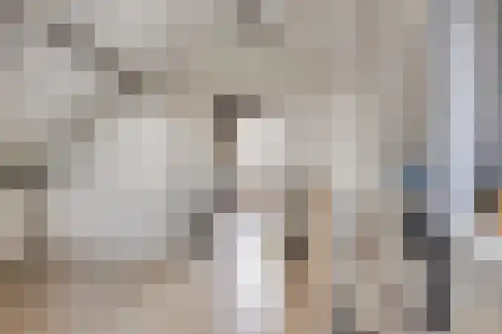 Veldbies 43 Terheijden thumbnail 36