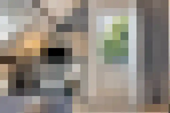 Veldbies 43 Terheijden thumbnail 37