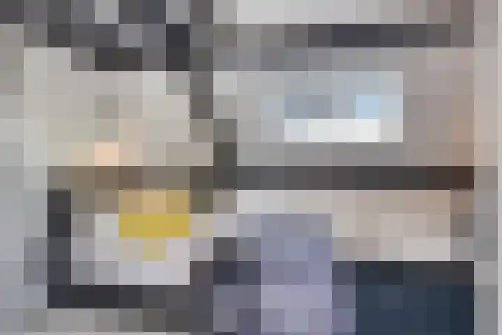 Veldbies 43 Terheijden thumbnail 38