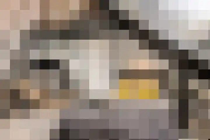 Veldbies 43 Terheijden thumbnail 39