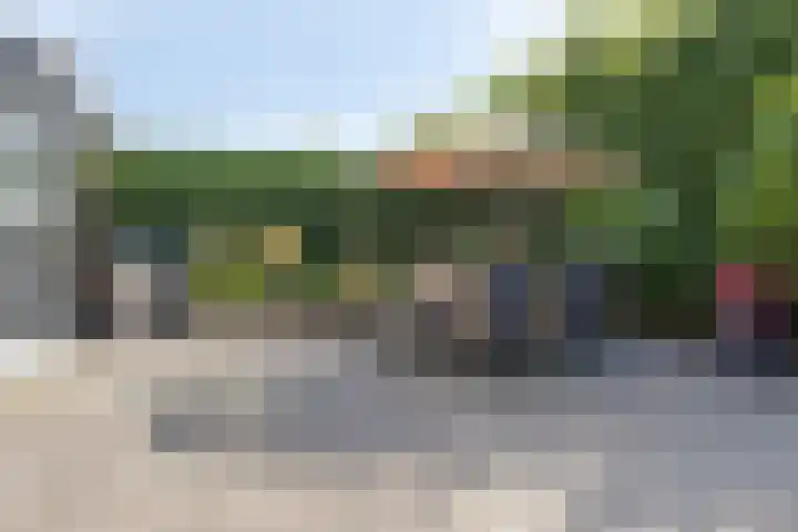 Veldbies 43 Terheijden thumbnail 4