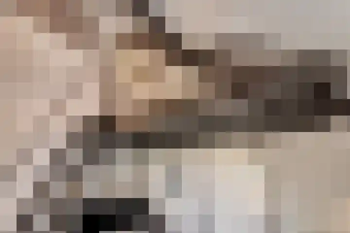 Veldbies 43 Terheijden thumbnail 40
