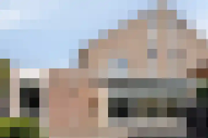 Veldbies 43 Terheijden thumbnail 41