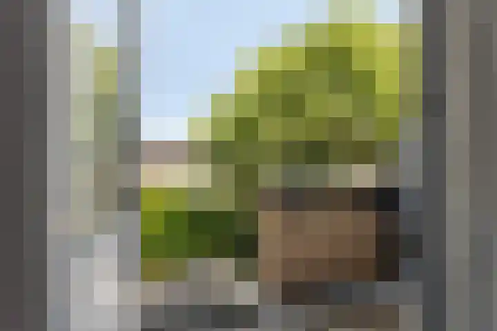 Veldbies 43 Terheijden thumbnail 42