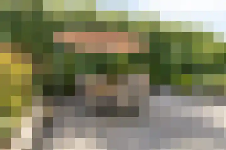 Veldbies 43 Terheijden thumbnail 43