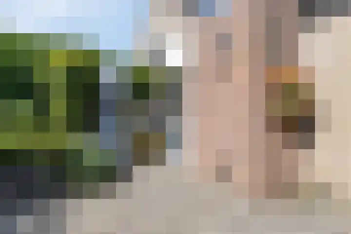 Veldbies 43 Terheijden thumbnail 44