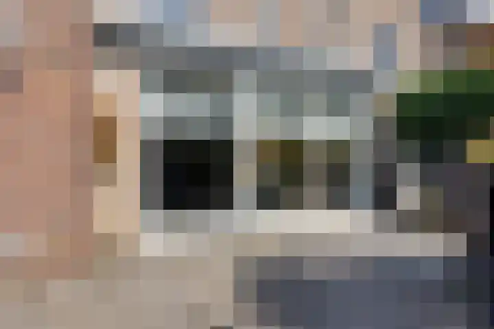 Veldbies 43 Terheijden thumbnail 45