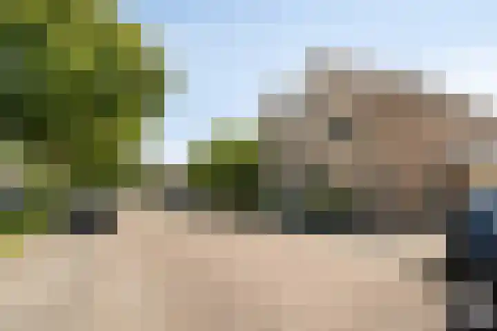 Veldbies 43 Terheijden thumbnail 47