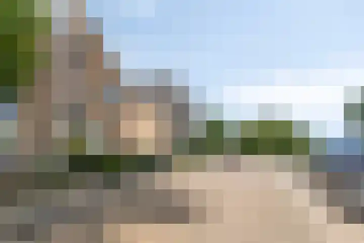 Veldbies 43 Terheijden thumbnail 48