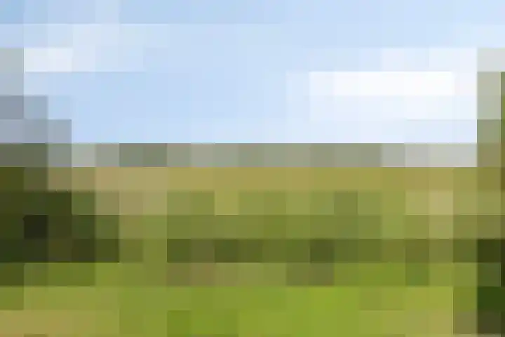 Veldbies 43 Terheijden thumbnail 49